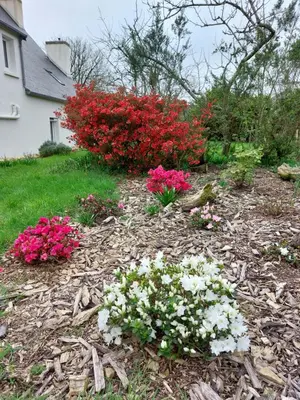 Jardin de l'établissement Demeure de Kérével