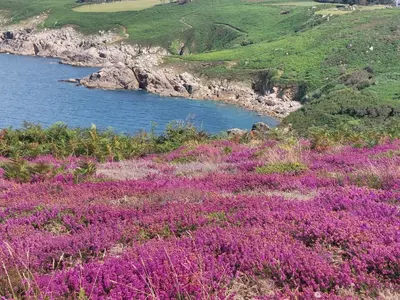 Paysage naturel près de la maison de vacances