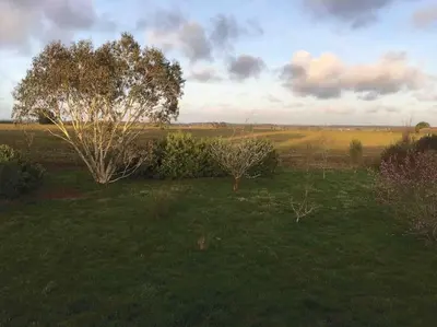 Paysage naturel près de la maison de vacances