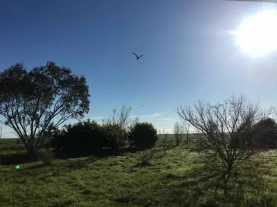 Paysage naturel près de la maison de vacances