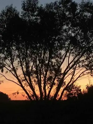 Lever ou coucher de soleil vu de la maison de vacances ou à proximité