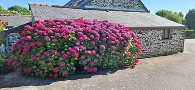 Jardin de l'établissement Ty Braz