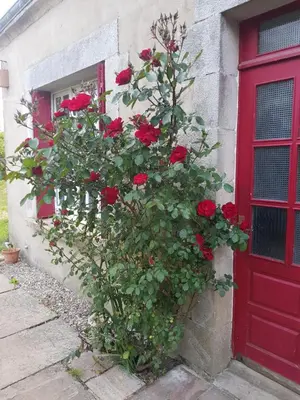 Jardin de l'établissement Hameau de Leignoua