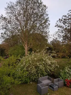 Jardin de l'établissement Hameau de Leignoua