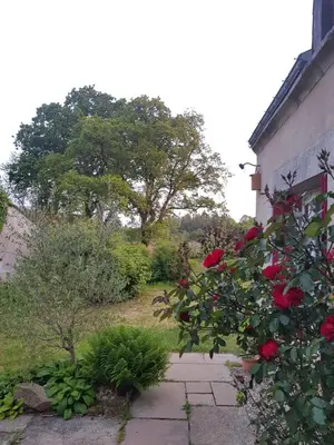 Jardin de l'établissement Hameau de Leignoua
