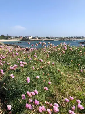Paysage naturel près de l'appartement