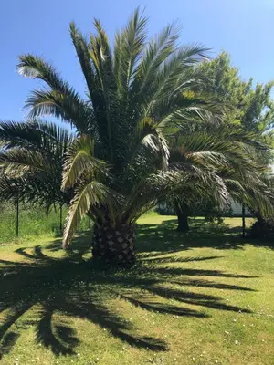 Jardin de l'établissement L’évidence