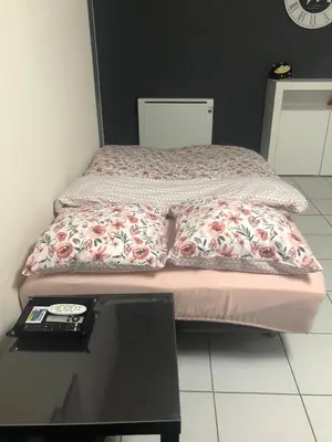 Un ou plusieurs lits dans un hébergement de l'établissement Appartement au calme nature et centre ville