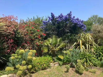 Plan de l'établissement Maison de vacances à 8 min des plages par un chemin enchanteur