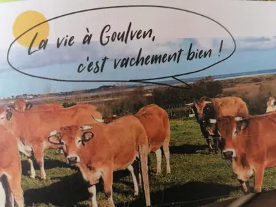 Animaux dans le B&B/chambre d'hôtes ou à proximité