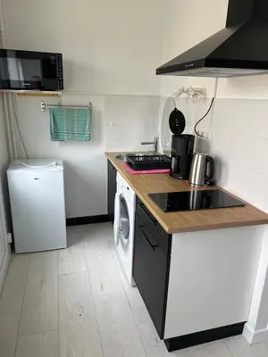 Cuisine ou kitchenette dans l'établissement Locplestin