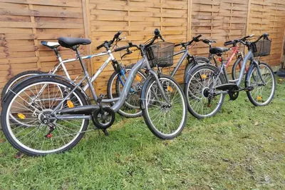 Vélo sur le terrain de l'établissement Maison spacieuse avec spa , sauna au pays des Abers ,10 min des plages Bretagne ou dans les environs
