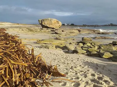 Paysage naturel près de la maison de vacances