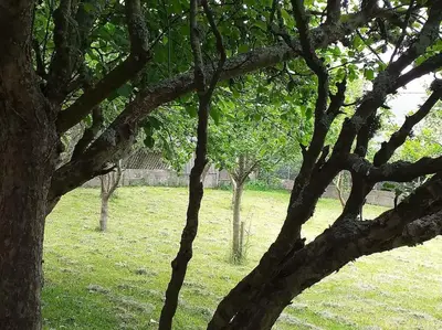 Jardin de l'établissement Kerleuquer Ty Nevez