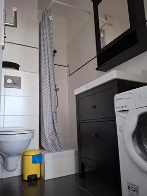 Salle de bains dans l'établissement Appartement lumineux dans les hauts de Recouvrance