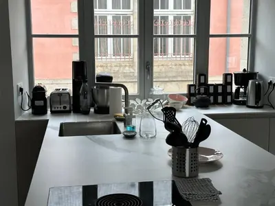 Cuisine ou kitchenette dans l'établissement Appartement Design X - Hyper Centre - Parking Privé - Terrasse Plein Sud Quimper