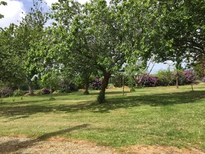 Jardin de l'établissement Gite Les Glycines 4 à 5 Personnes du samedi au samedi