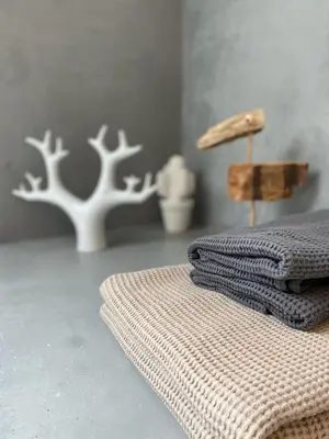 Plan de l'établissement Les koumouls Grange noire