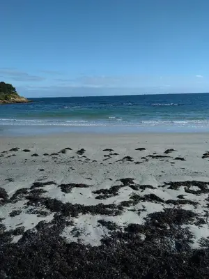 Paysage naturel près de le séjour chez l'habitant