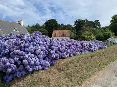 Jardin de l'établissement La petite Bretonne