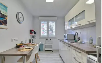 Cuisine ou kitchenette dans l'établissement Appartement hyper centre avec garage privé