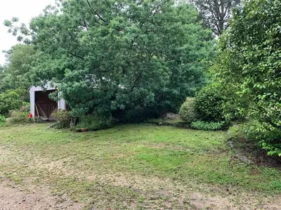 Jardin de l'établissement Cottage Tea Mamm , écrin de verdure et son jardin de thé, 3 étoiles