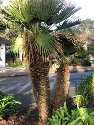 Jardin de l'établissement Le Studio