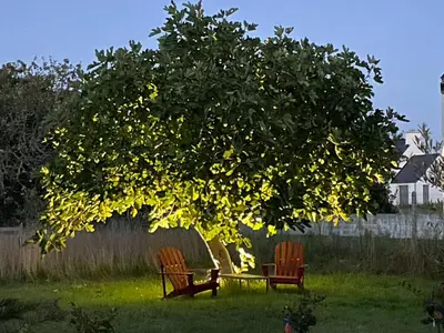 Jardin de l'établissement La Part des Anges 29 - Maison d'hôtes et Table épicurienne