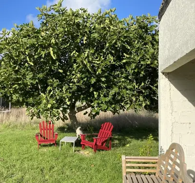 Jardin de l'établissement La Part des Anges 29 - Maison d'hôtes et Table épicurienne