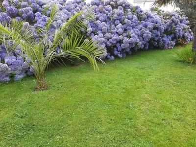 Jardin de l'établissement LA TOURELLE