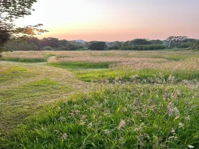 Paysage naturel près de la maison de vacances