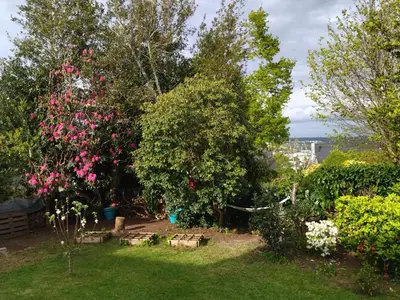 Jardin de l'établissement Plan B