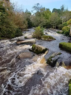 Paysage naturel près de le camping