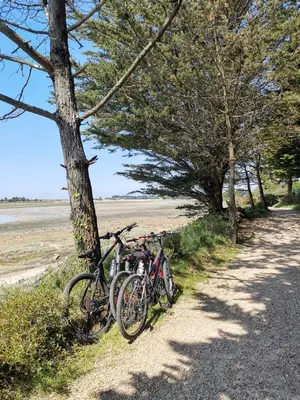 Vélo sur le terrain de l'établissement Les Cerisiers du Rouz ou dans les environs