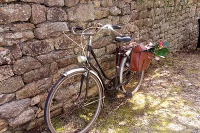 Vélo sur le terrain de l'établissement Les Camélias ou dans les environs
