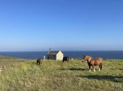 Animaux dans la maison de vacances ou à proximité