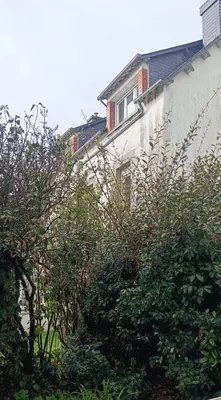 Jardin de l'établissement Maël-Carhaix location Maison 4 chambres