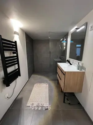 Salle de bains dans l'établissement L Usine Loft Spa Privé Centre Ville et Parking Privé