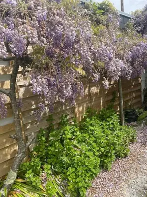 Jardin de l'établissement La Villa d'Anna, une décoration très tendance !