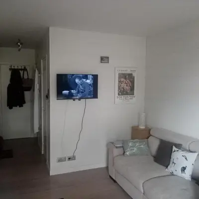 Télévision ou salle de divertissement dans l'établissement Les Hortensias