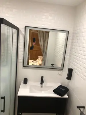 Salle de bains dans l'établissement Charmes de la Forêt