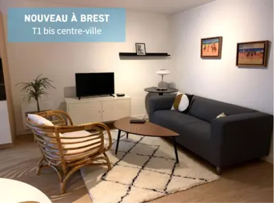 Télévision ou salle de divertissement dans l'établissement Jaurès - Centre ville - T1 bis au calme