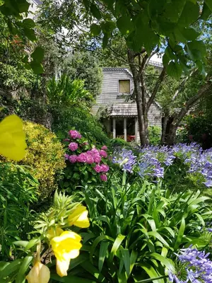 Jardin de l'établissement Home Sweet Home