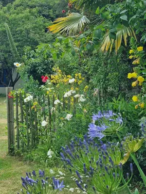 Jardin de l'établissement Home Sweet Home
