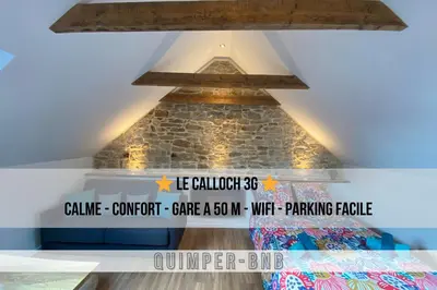Certificat, récompense, panneau ou autre document affiché dans l'établissement Studio cosy - renove - calme - 3 personnes - proche gare et centre historique
