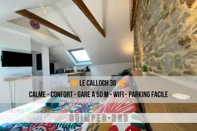 Télévision ou salle de divertissement dans l'établissement Studio cosy - renove - calme - 3 personnes - proche gare et centre historique
