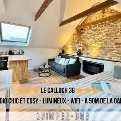 Studio cosy - renove - calme - 3 personnes - proche gare et centre historique