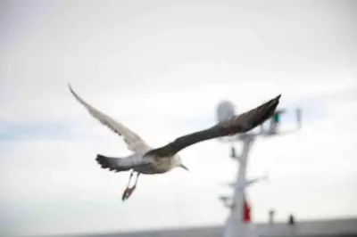 Plan de l'établissement L'abri du canot face à la mer