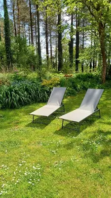 Jardin de l'établissement La maison au cœur de la forêt