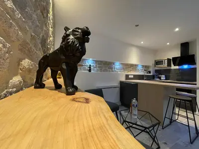 Cuisine ou kitchenette dans l'établissement LE CALLOCH 2D - Studio 4 Étoiles - Quartier Gare - Wifi - Netflix
